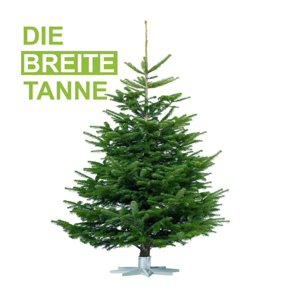 Tanne bestellen Österreich