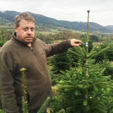 Weihnachtsbaum online kaufen test, Tannenbaum online, Christbaum online bestellen, christbaumkulturen Niederösterreich